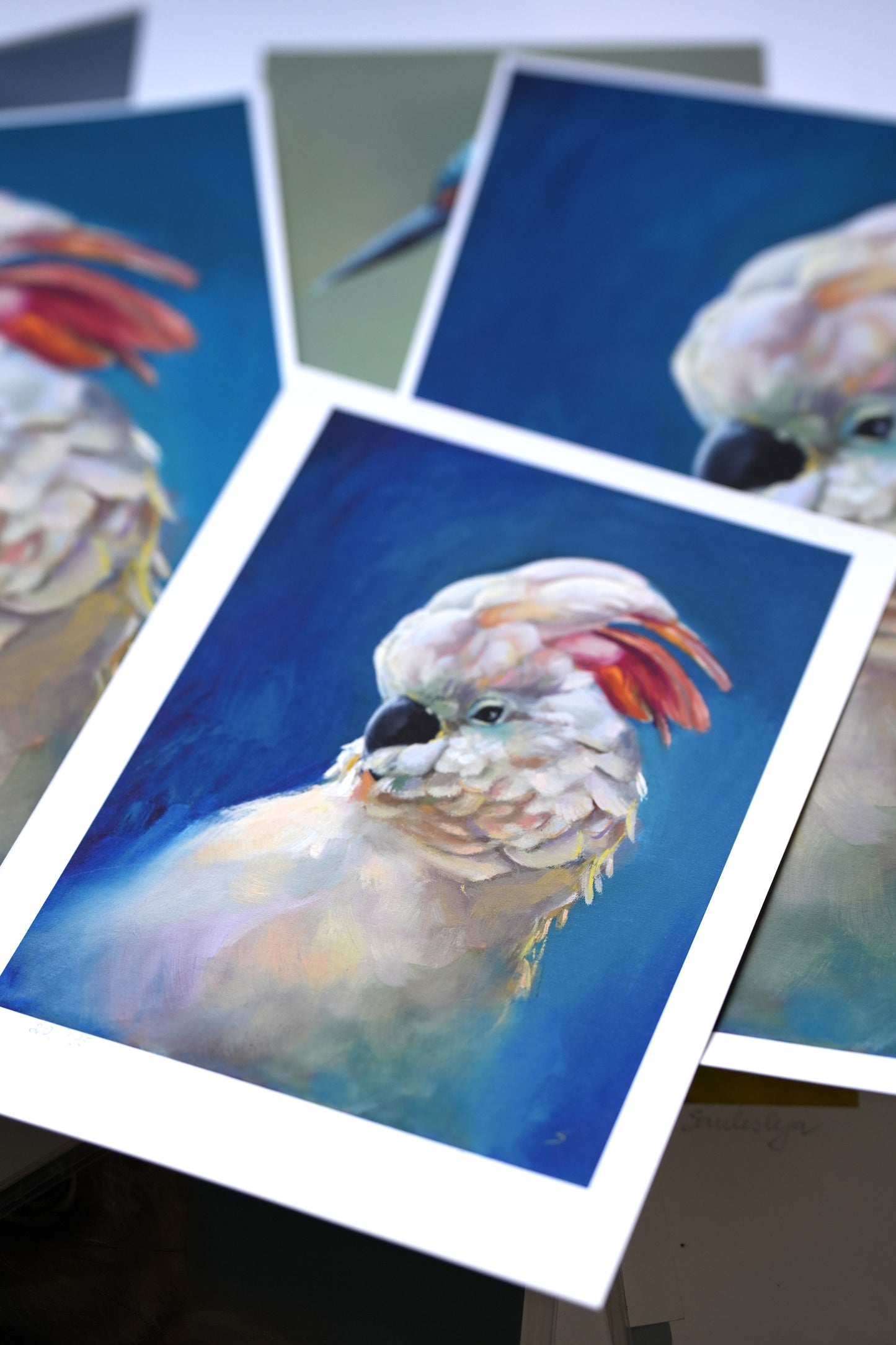 Parrot I'm Cool Giclee Print