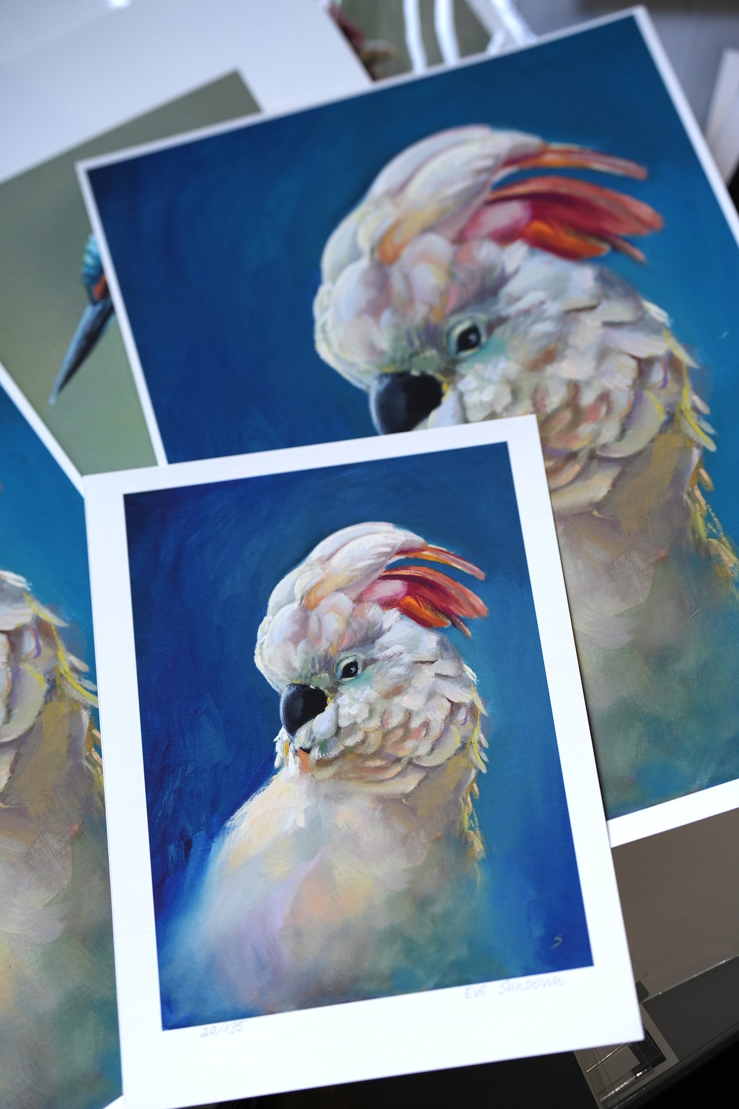 Parrot I'm Cool Giclee Print