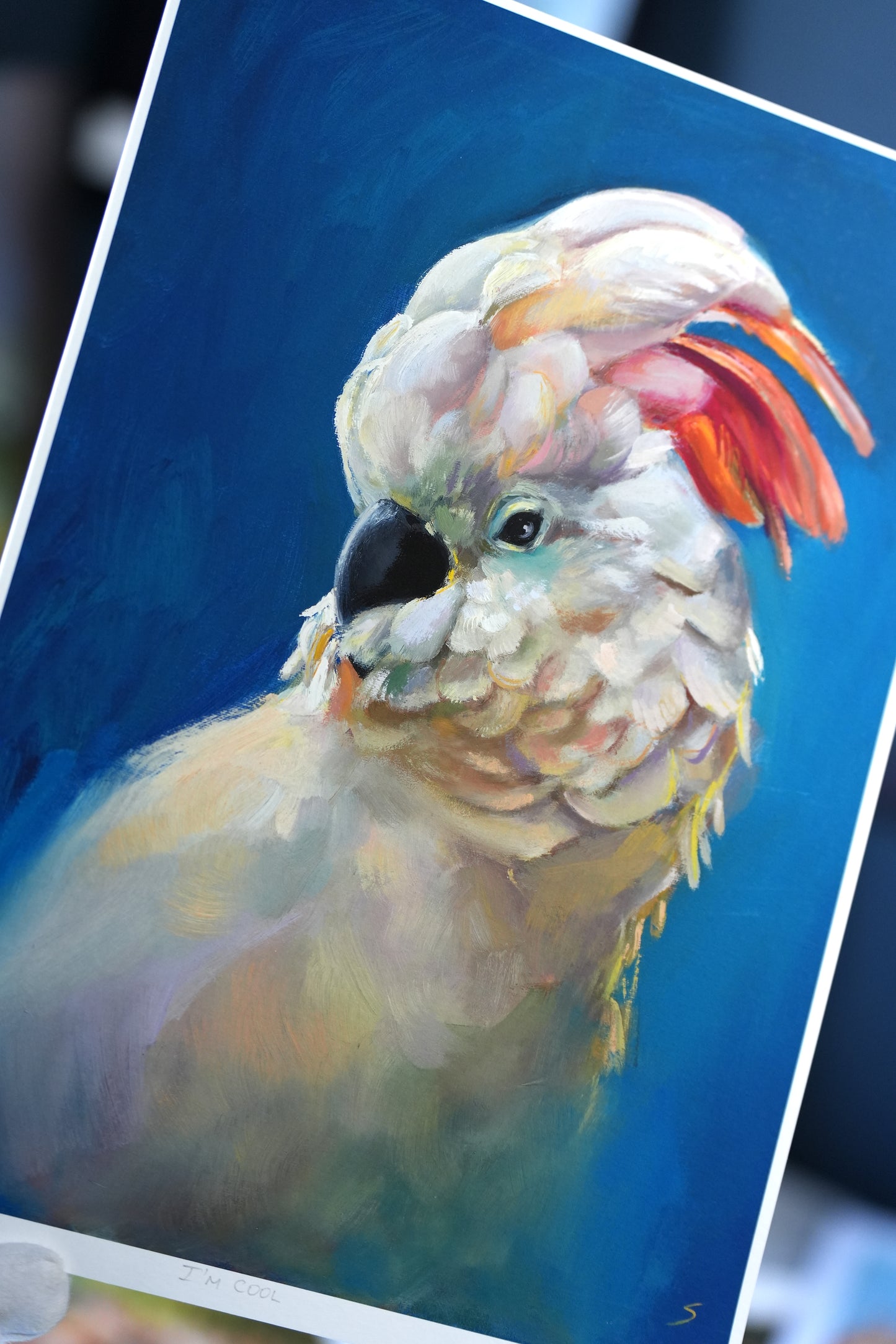 Parrot I'm Cool Giclee Print