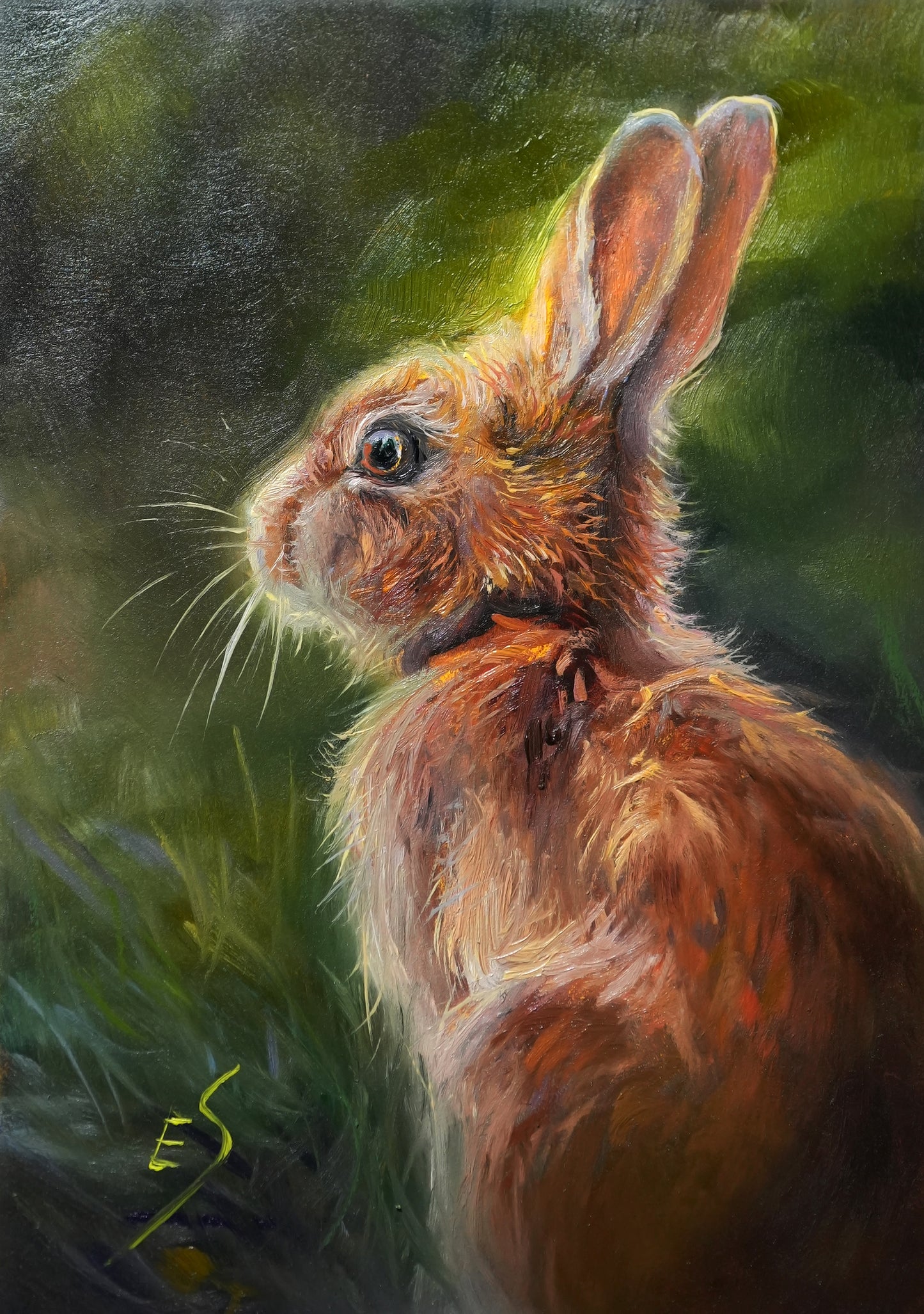Bunny Original Oil Painting