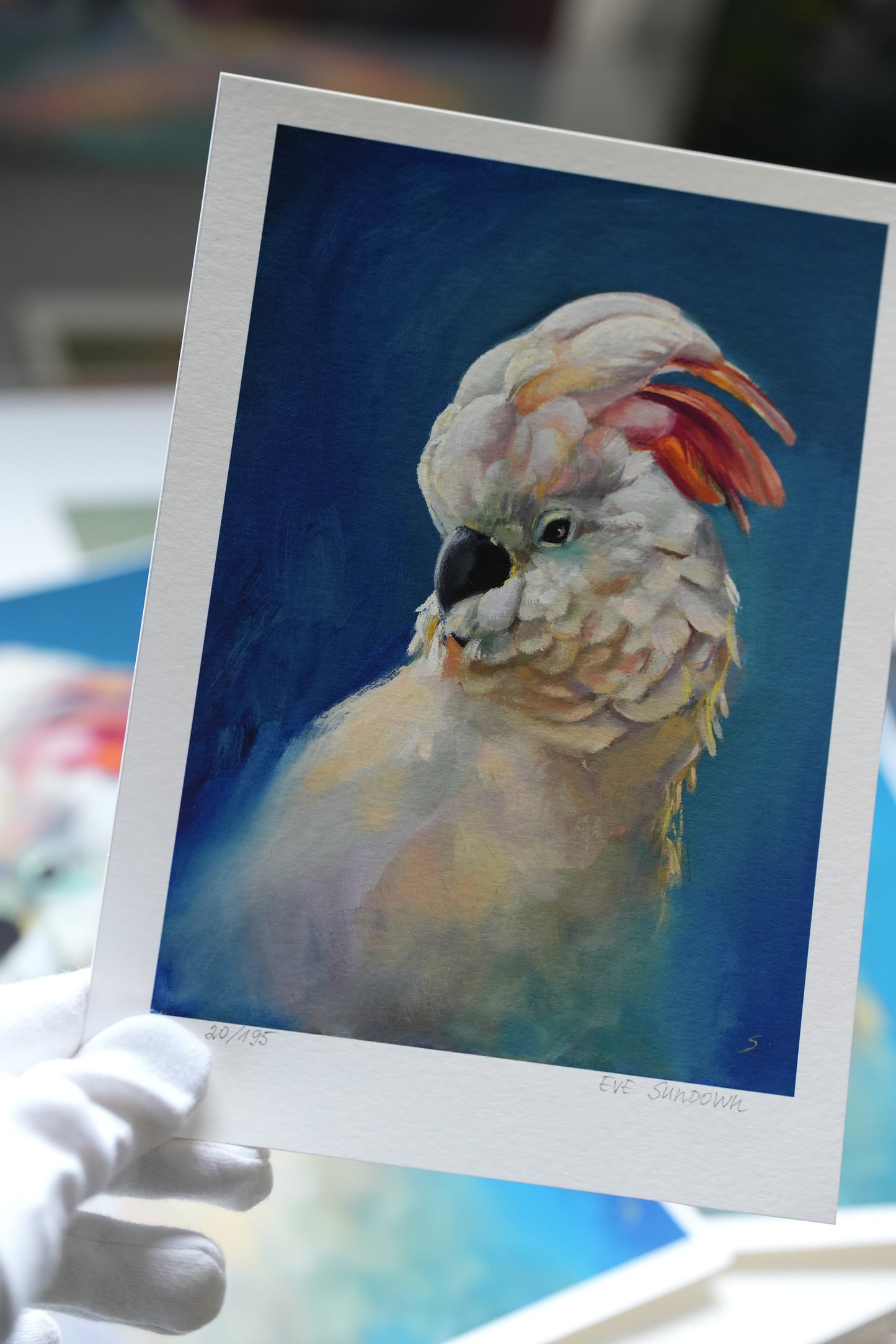 Parrot I'm Cool Giclee Print