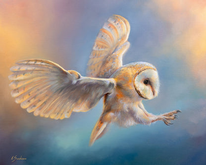 "Gold Reflection" Barn Owl Original Oil Painting