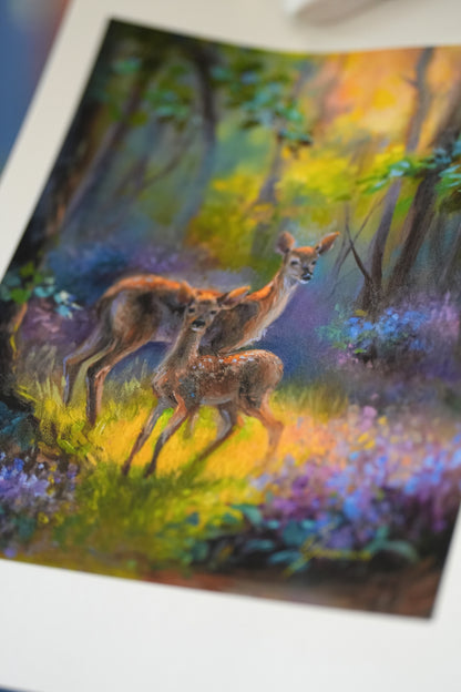 Forest Serenity Limited Edition Print