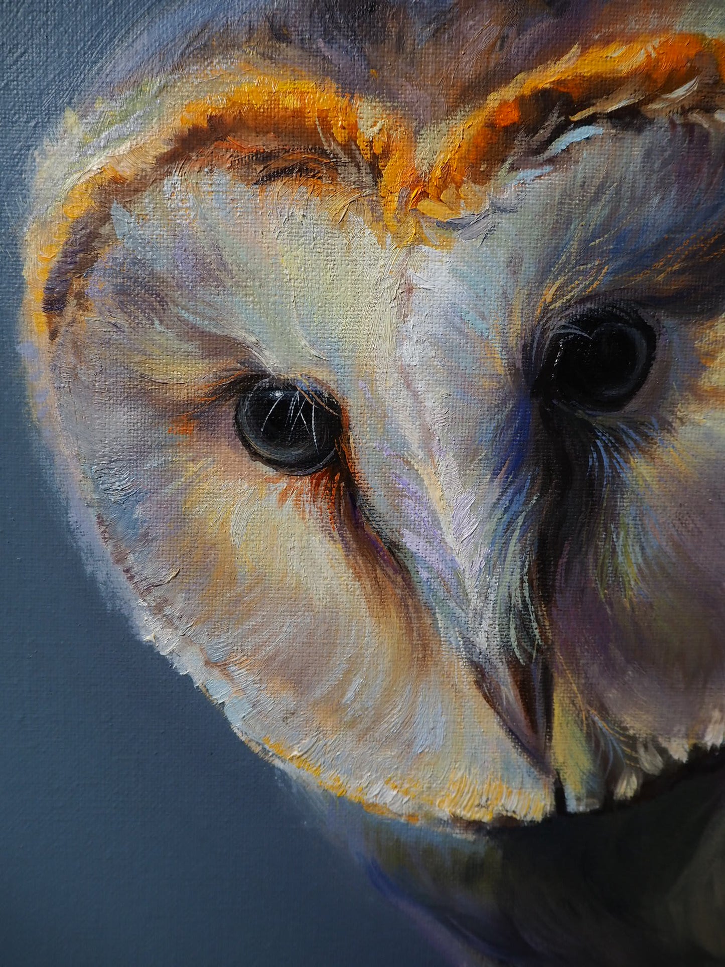 "Peaceful Gaze" Owl Orginal Oil Painting