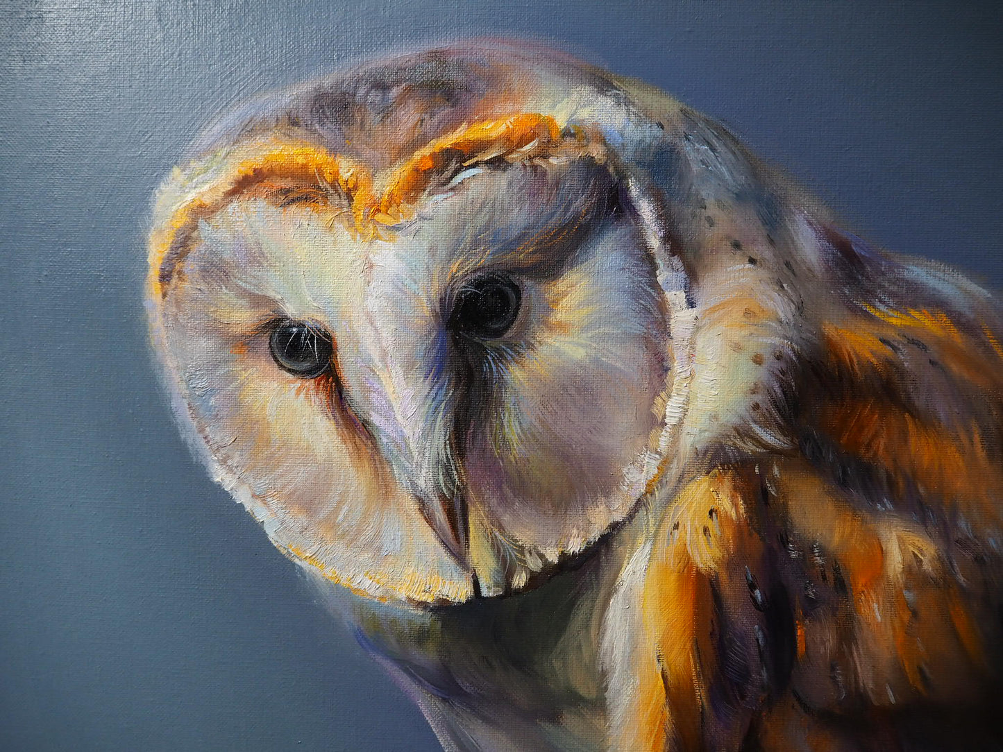 "Peaceful Gaze" Owl Orginal Oil Painting