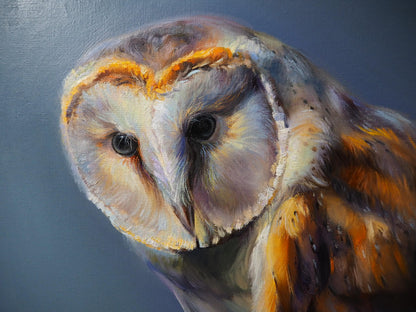 "Peaceful Gaze" Owl Orginal Oil Painting