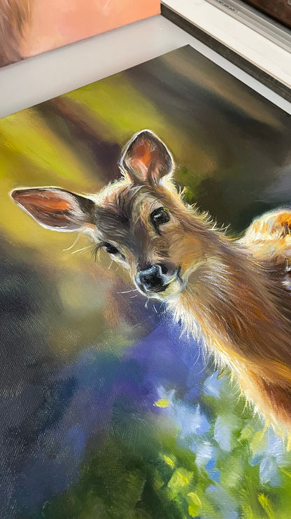 "Fawn in Bluebells" Original oil painting