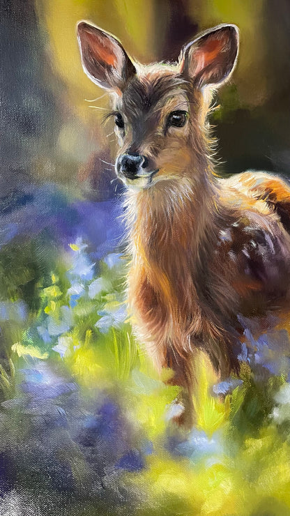 "Fawn in Bluebells" Original oil painting