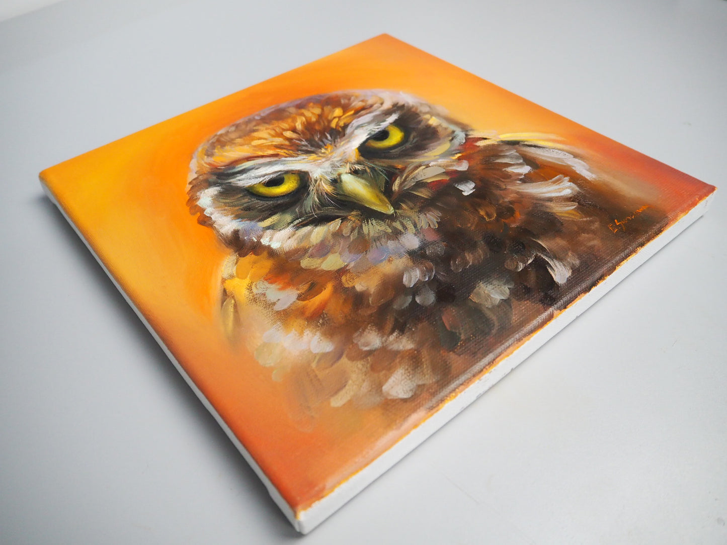 ''Look into my eyes" Owl Original Oil Painting