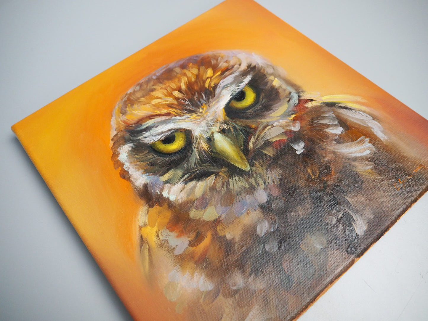 ''Look into my eyes" Owl Original Oil Painting