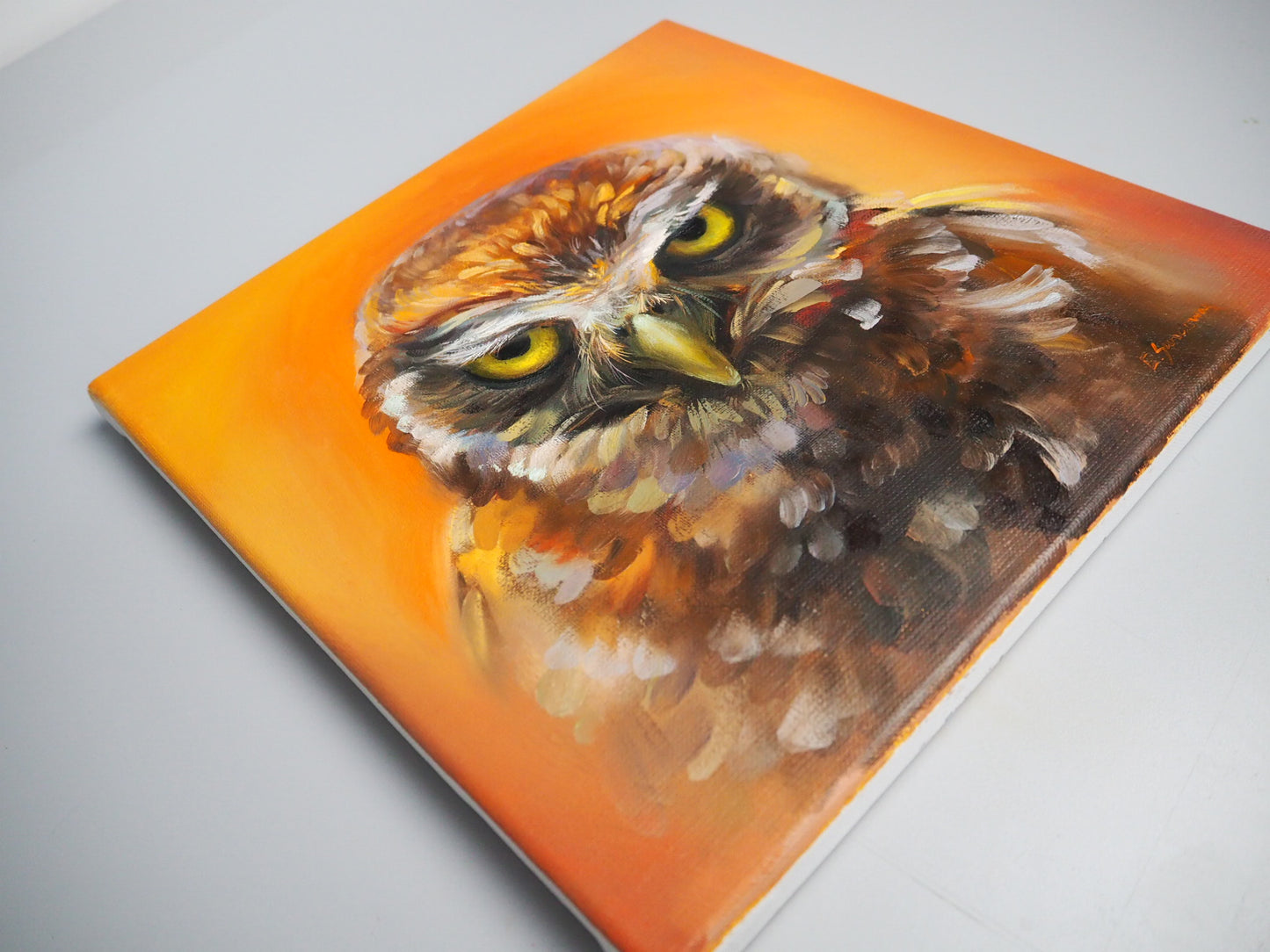 ''Look into my eyes" Owl Original Oil Painting