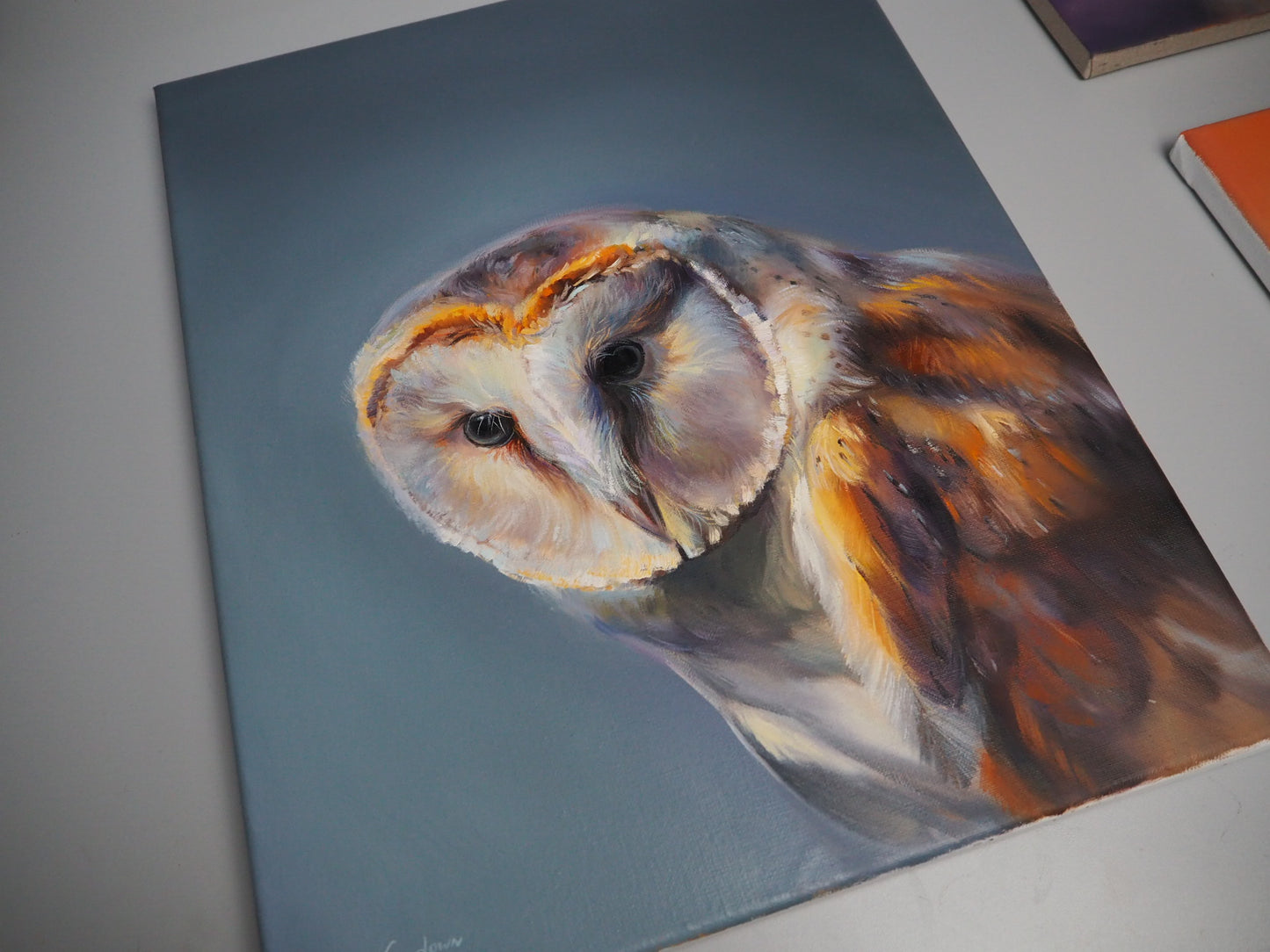 "Peaceful Gaze" Owl Orginal Oil Painting