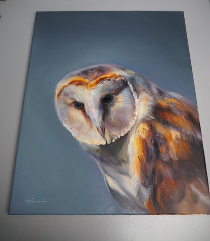 "Peaceful Gaze" Owl Orginal Oil Painting