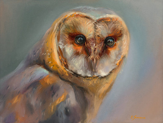 "Look at me" Owl Original Oil Painting