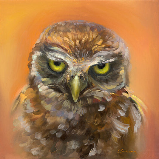 ''Look into my eyes" Owl Original Oil Painting