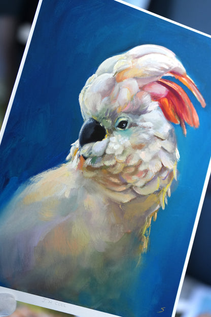 Parrot I'm Cool Giclee Print