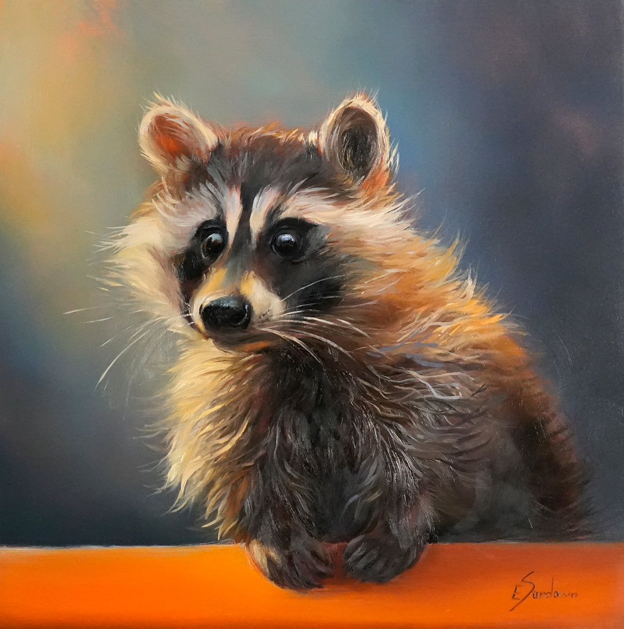 Raccoon Original oil painting