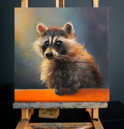 Raccoon Original oil painting