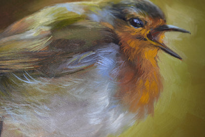 "Robin" Robin Original Oil Painting