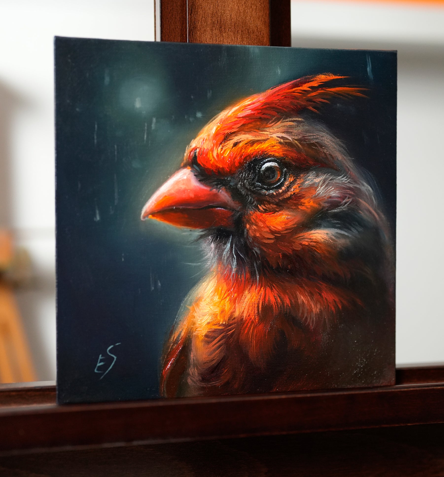 Cardinal online Original Painting