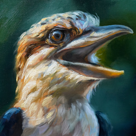 Kookaburra Oil Painting