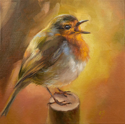 "Robin" Robin Original Oil Painting