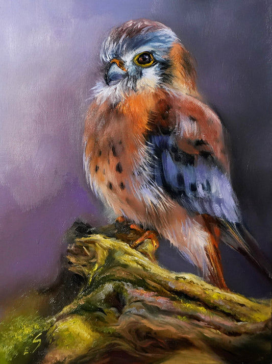 ''Kestrel'' Original Oil painting