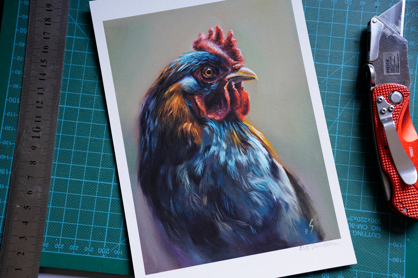 Rooster Fine Art Print