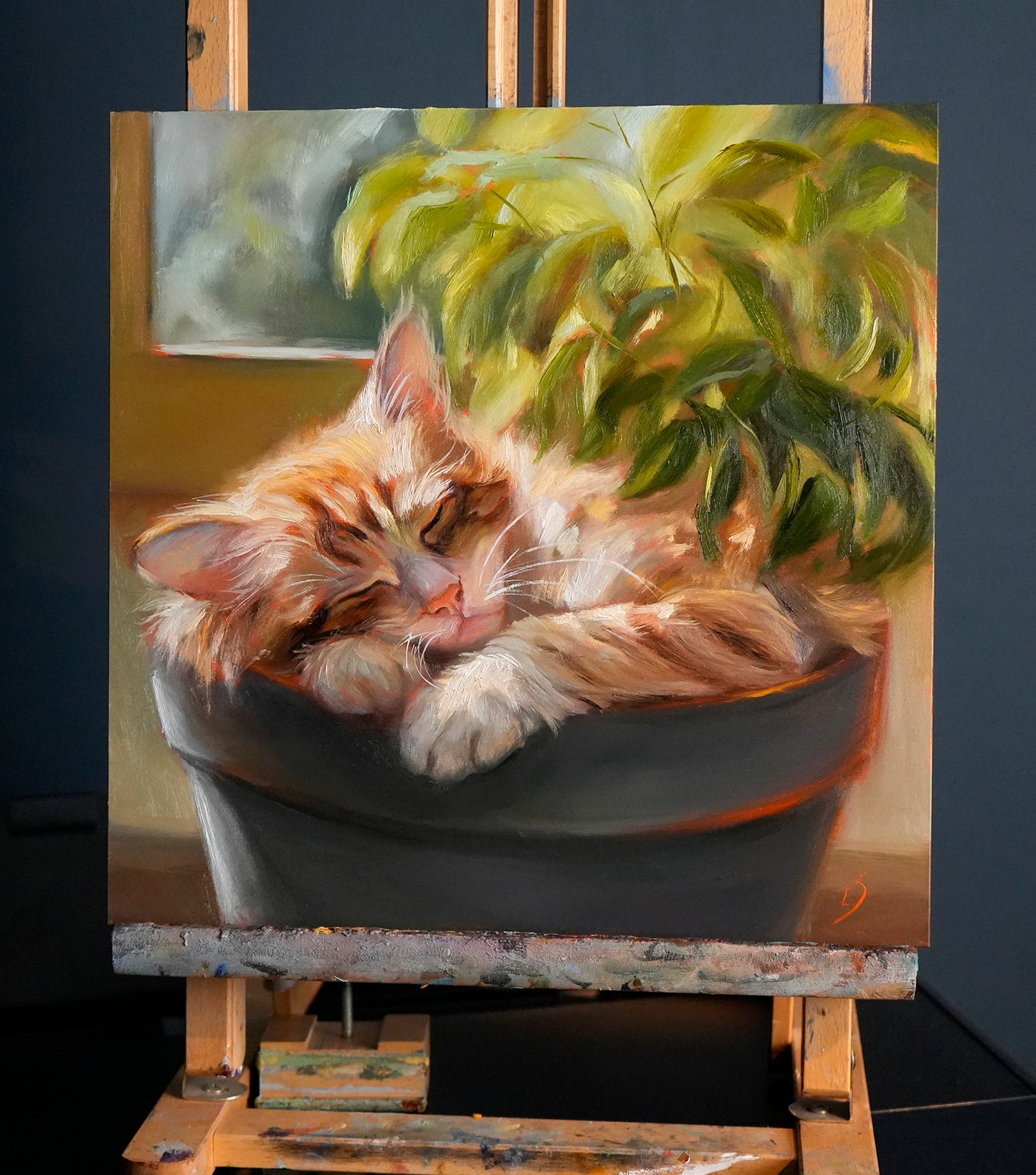 Cat Original Oil Painting