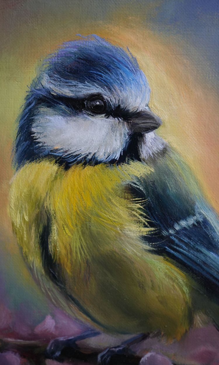 "Blue Tit" Blue Tit Original Oil Painting