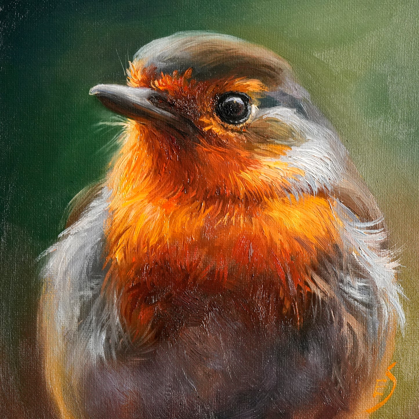 Robin Original Oil Painting