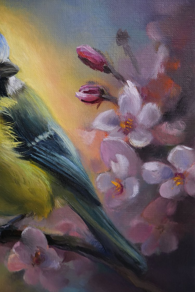 "Blue Tit" Blue Tit Original Oil Painting