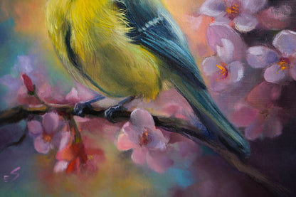 "Blue Tit" Blue Tit Original Oil Painting