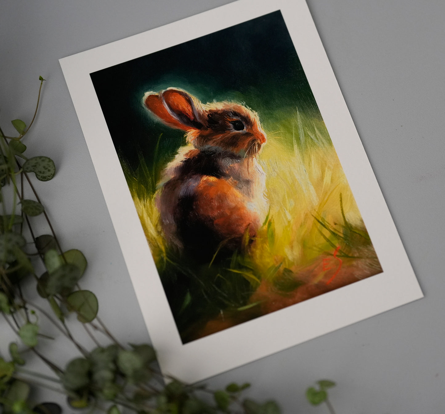 "Sun Bunny" signed Giclee Print