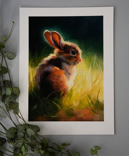 "Sun Bunny" signed Giclee Print