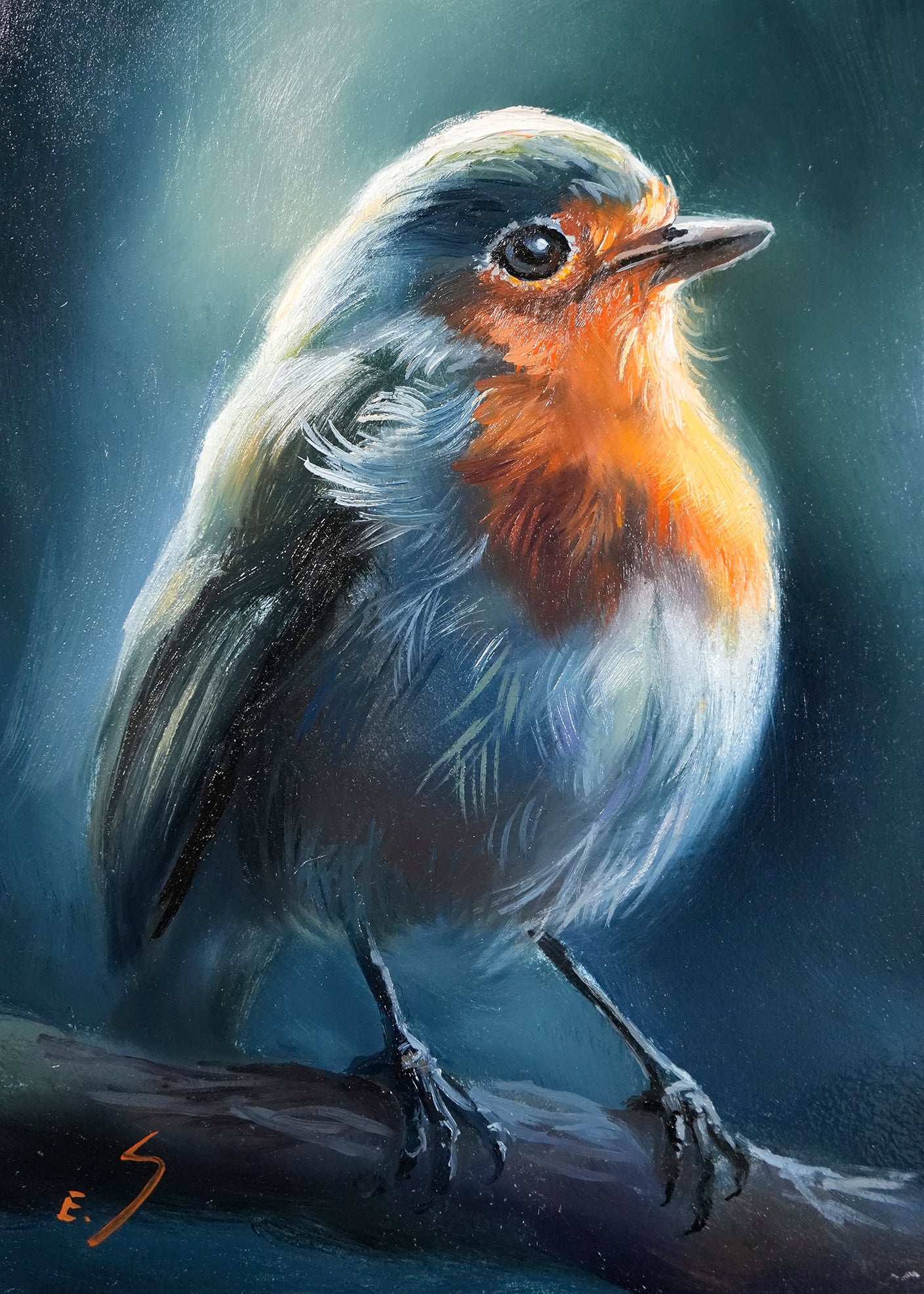 Robin Original oil Painting