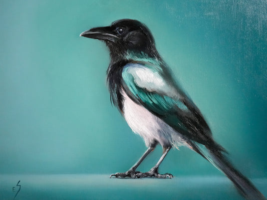 ''Standing Magpie'' Original Oil painting